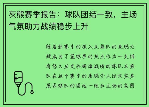 灰熊赛季报告：球队团结一致，主场气氛助力战绩稳步上升